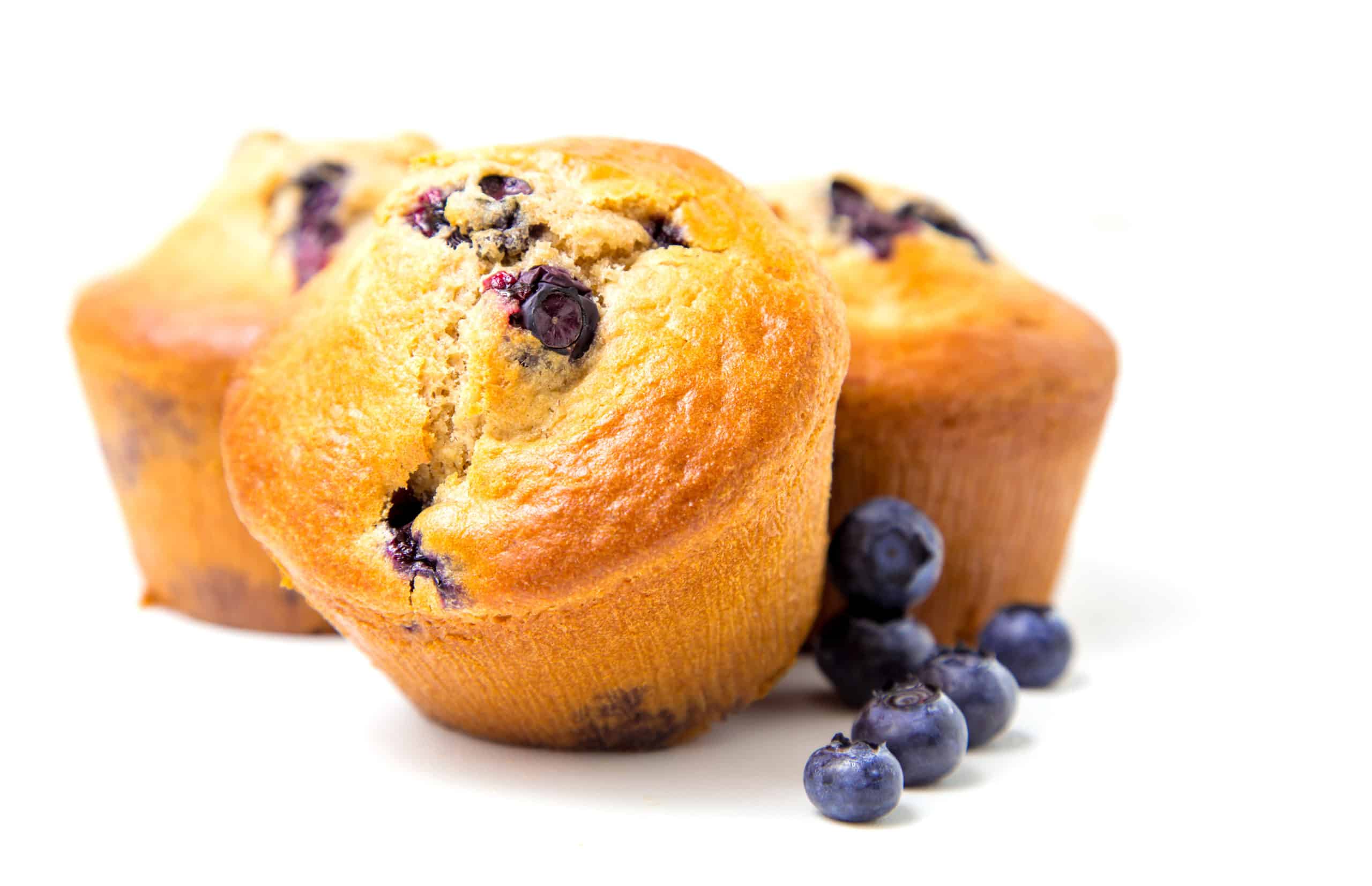 Blueberry Cake Muffins Recipe - Australian Bakels | Vegetable Shortening